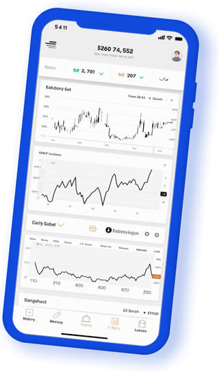 Mobilenhet som viser Loddverdom digital nettapp